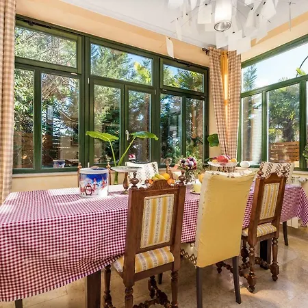 Vilma أوباتيا